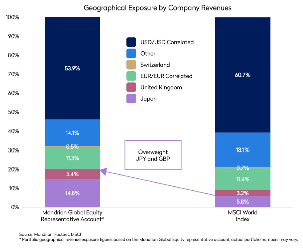 Geographical Exposure by Company Revenues
